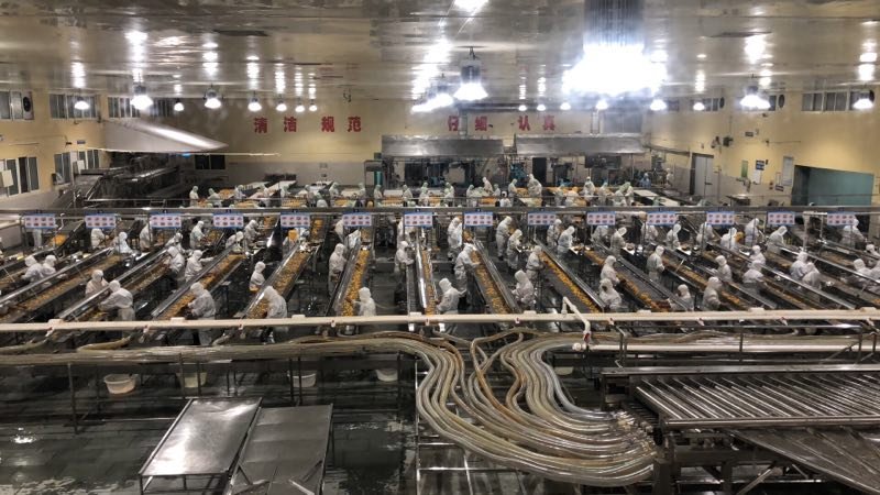 桔子分级挑选现场整线